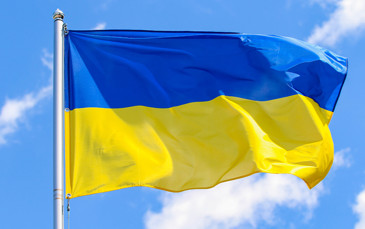 Ukrainian flag